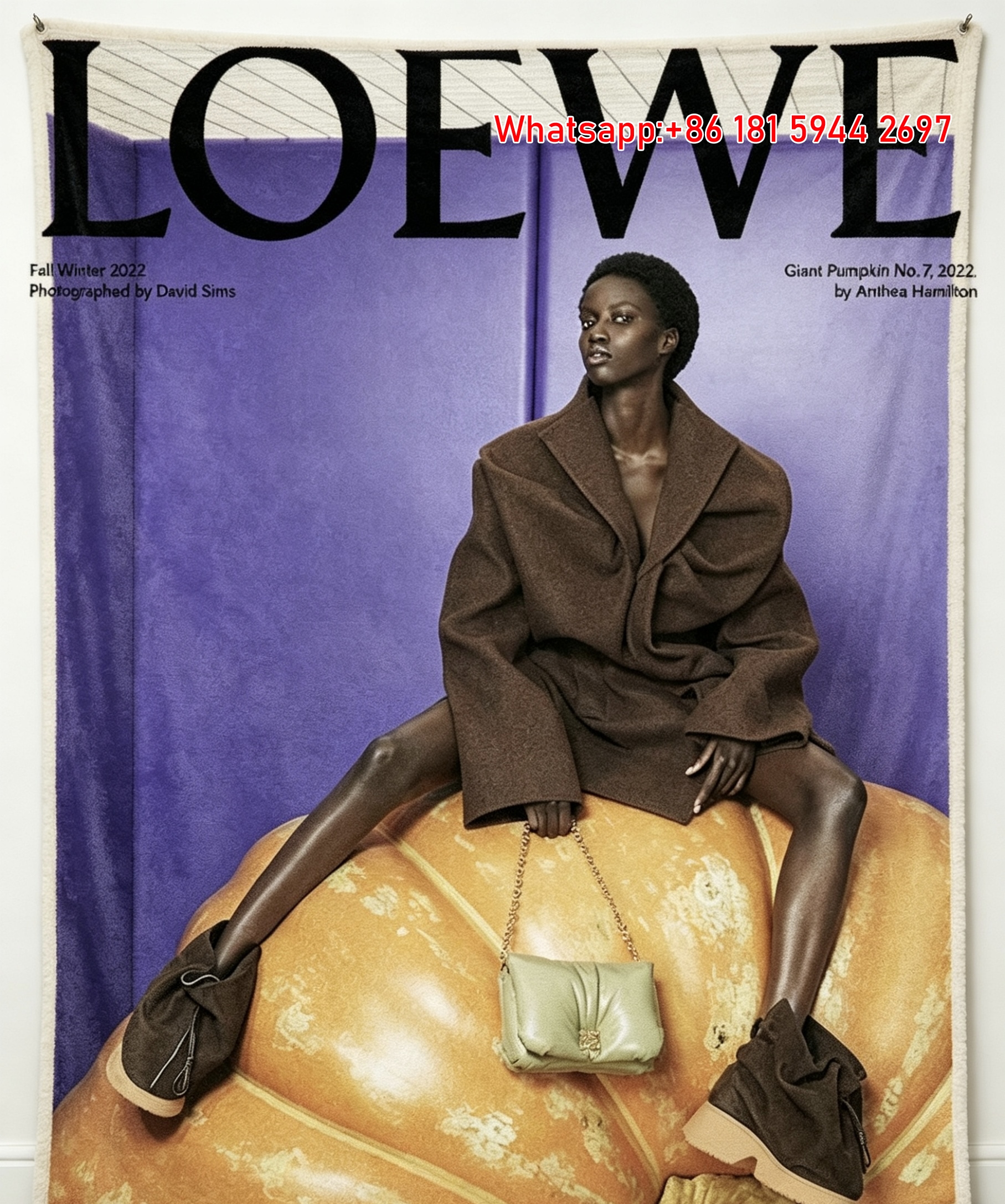 LOEWE Brand Printed Flannel Throw Blanket for Sofa L086